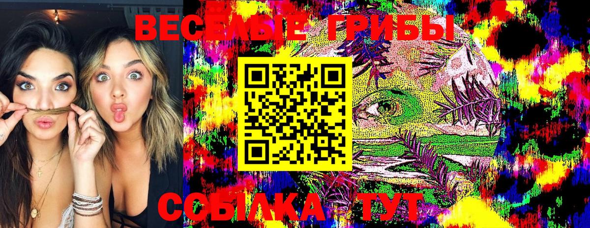 Галлюциногенные грибы Psilocybine cubensis  Вход с VPN  Нефтекумск 